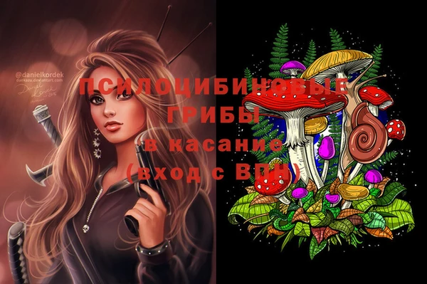 круглые Алексин