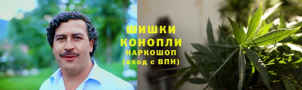 шишки Алексеевка