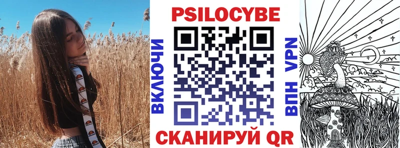 дарк нет как зайти  Дмитров  Галлюциногенные грибы Cubensis  ОМГ ОМГ онион 